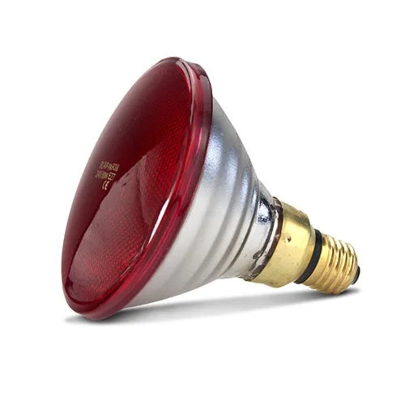 Bainbridge Infrared Heat Lamp Bulb – Red