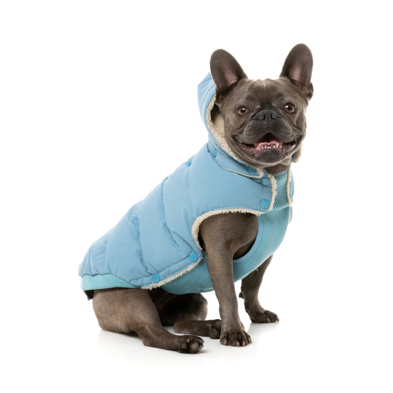 FuzzYard Essential Puffer Dog Jacket Blue