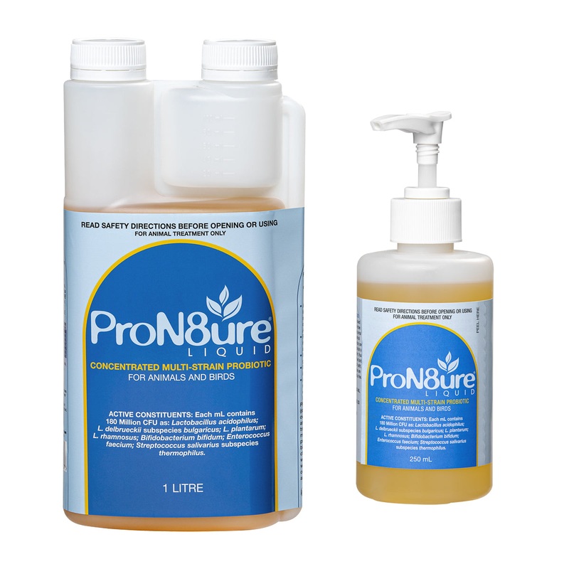 ProN8ure Probiotic Liquid|125mL|250mL|1L