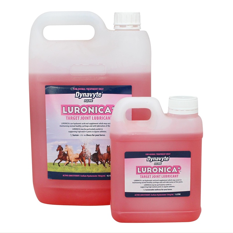 Dynavyte Luronica Joint Support for Equine Athletes