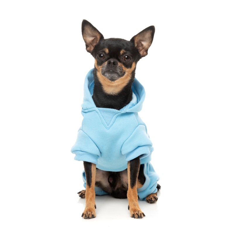 FuzzYard Chillin’ Dog Tracksuit Blue