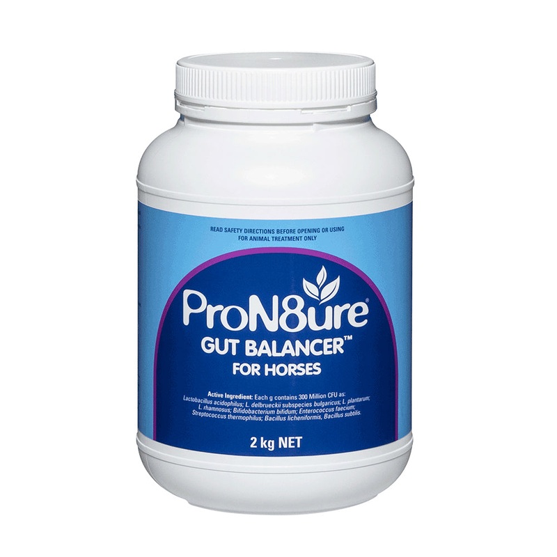 ProN8ure Gut Balancer for Horses