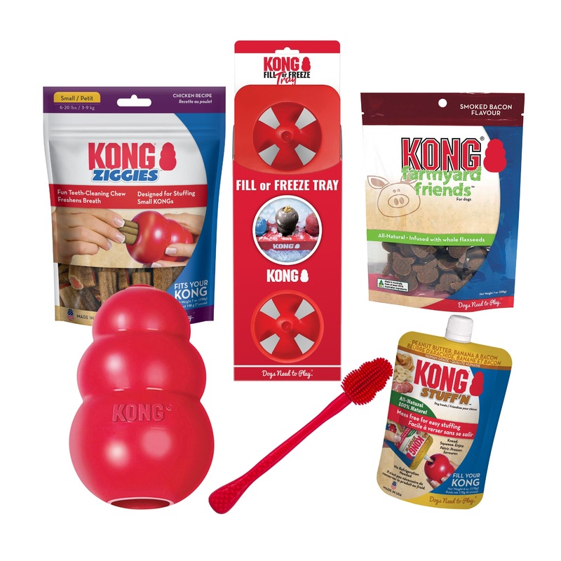 Kong Classic Stuffn Treat Value Bundle