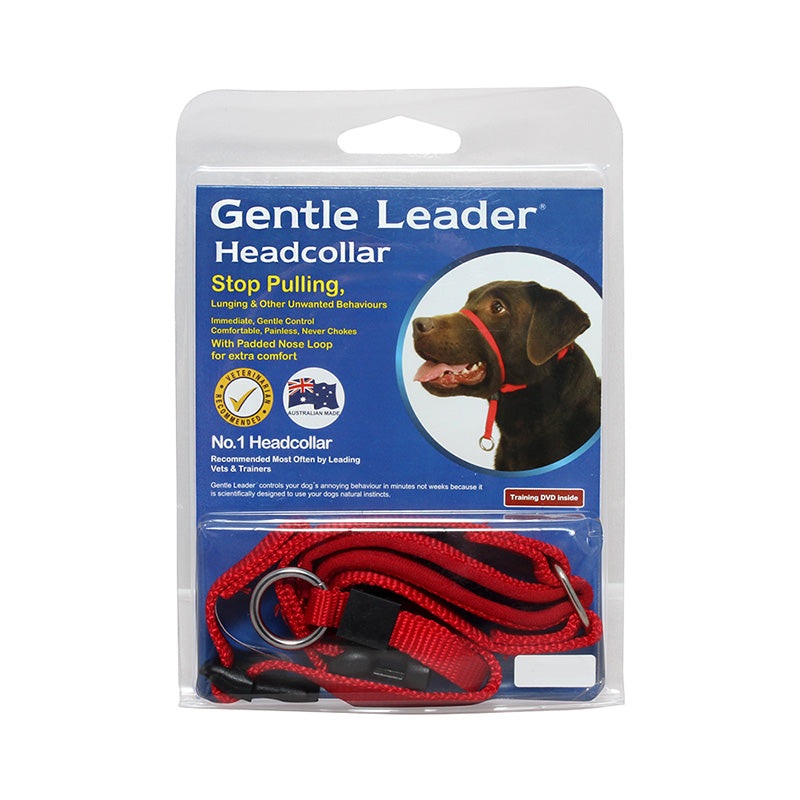 Gentle Leader Headcollar|Small|Medium|Large|Black|Blue|Purple|Red