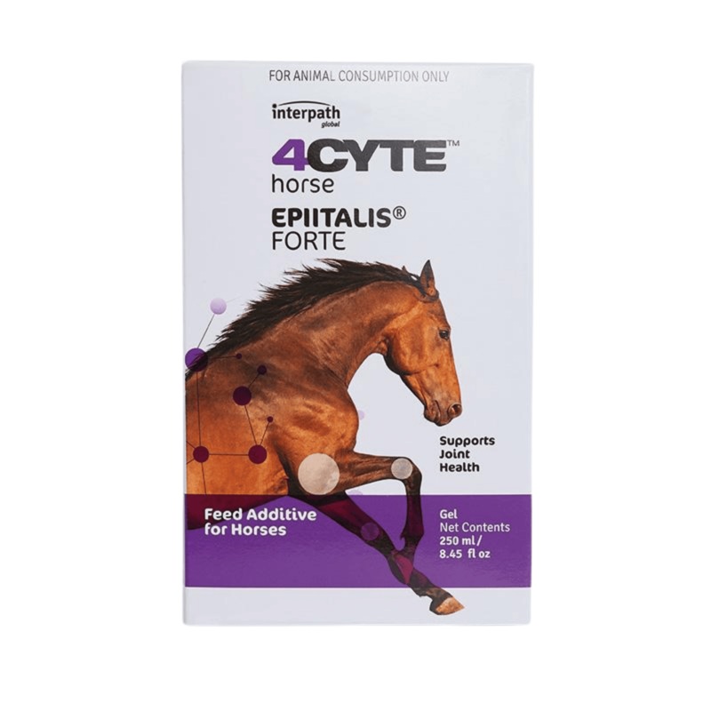 4CYTE Epiitalis Forte Gel for Horses