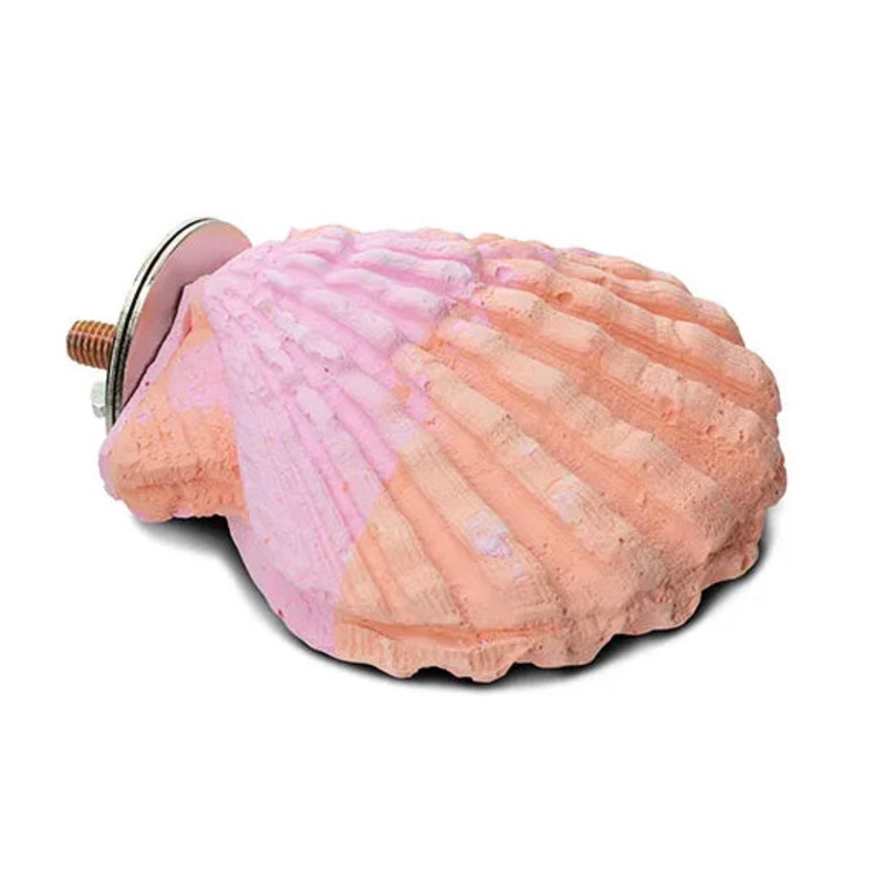 Bainbridge Calcium Clam Bird Perch – Small