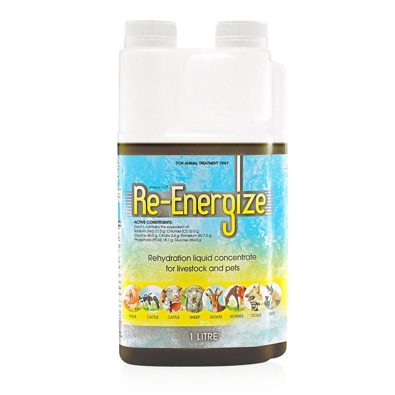 Hardock’s Re-Energize Rehydration Liquid