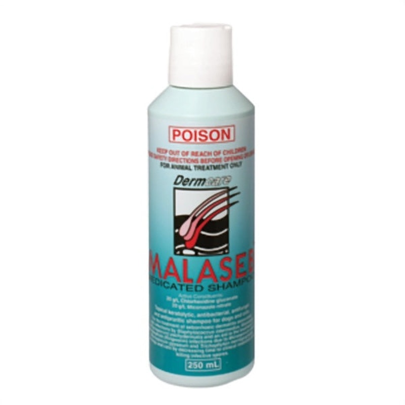 Malaseb Medicated Shampoo|250ml|500ml