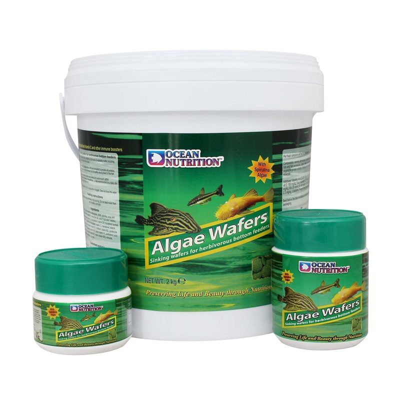 Ocean Nutrition Algae Wafers for Bottom Feeders