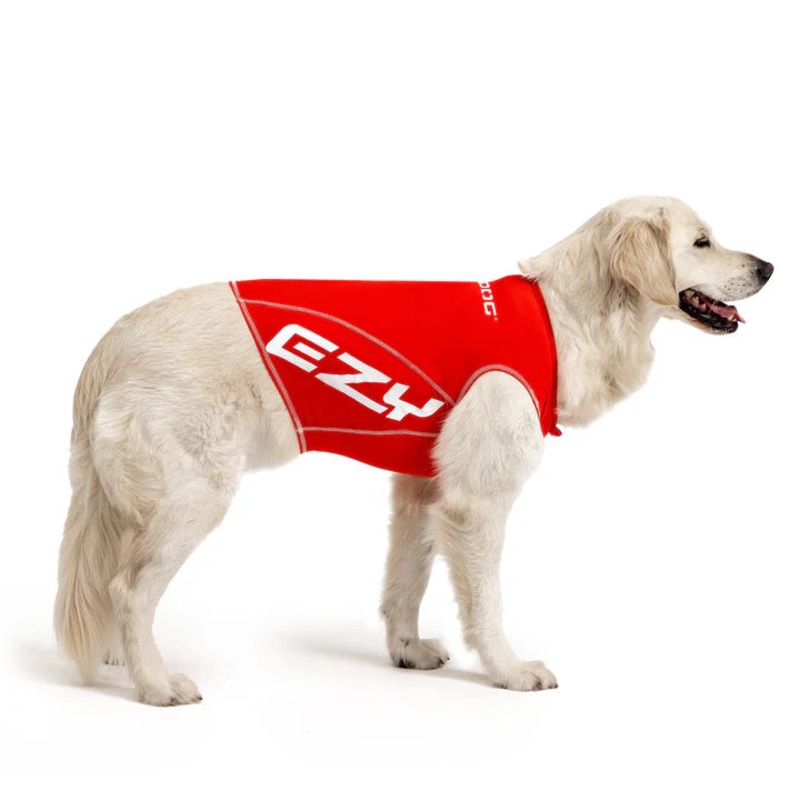 EzyDog Rashie Vest for Dogs|XSmall|Small|Medium|Large|XLarge|Red