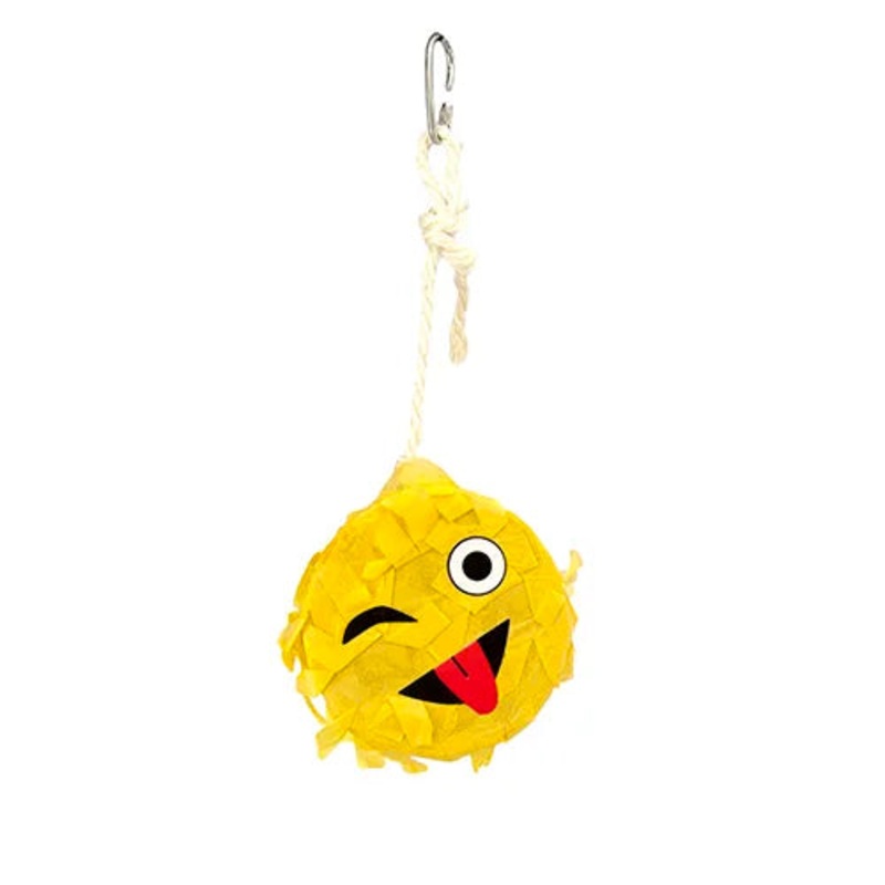 Wink Emoji Bird Toy Piata