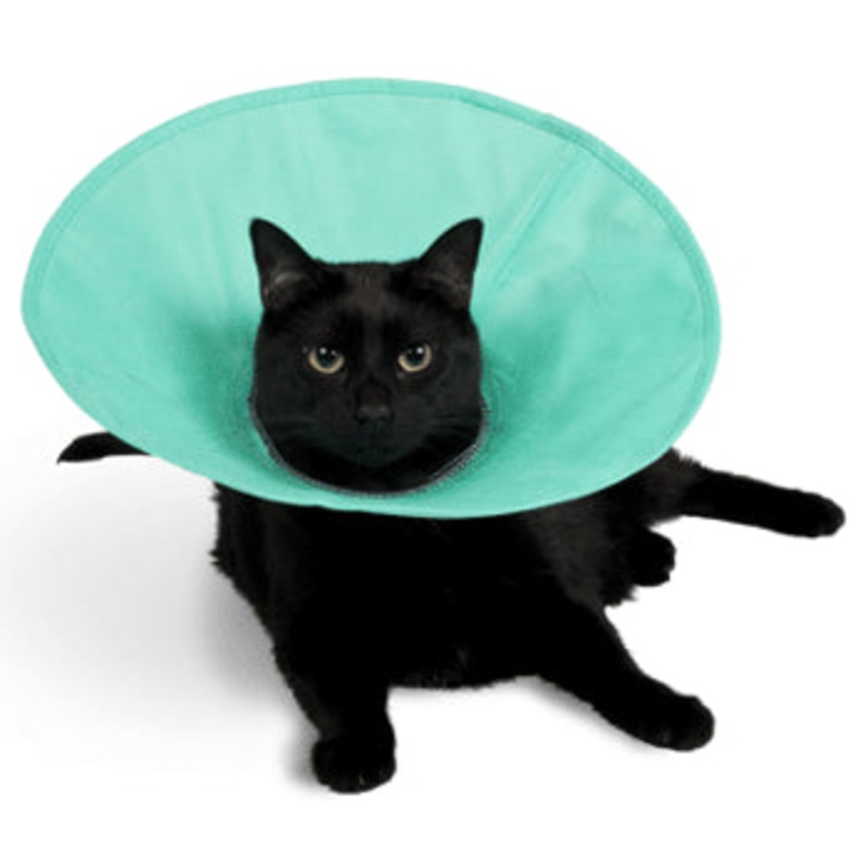 KONG EZ-Soft E Collar for Cats & Small Dogs