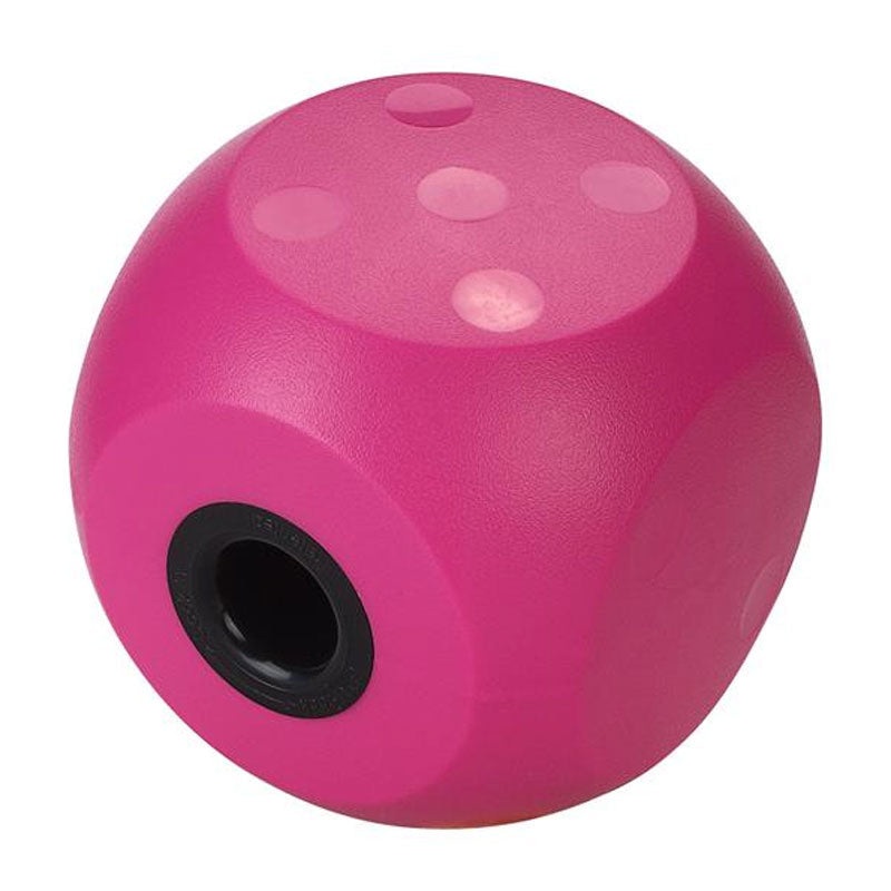 Buster Mini Food Cube|Cherry|Purple
