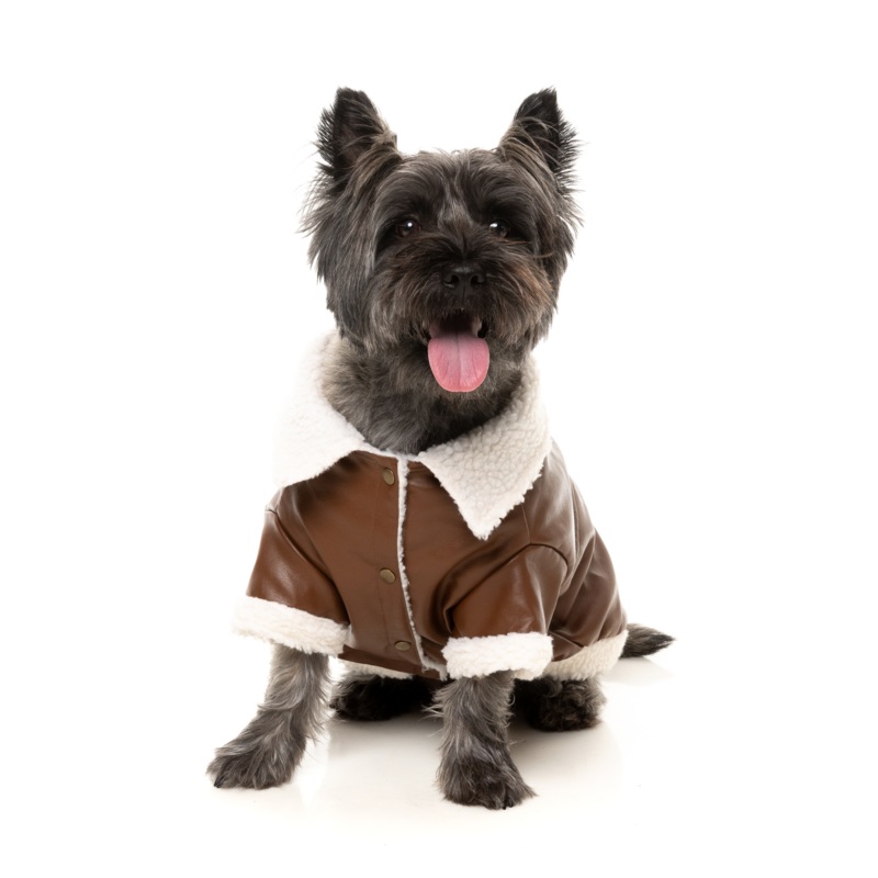 FuzzYard Ava Dog Jacket Brown|1|2|3|4|5|6