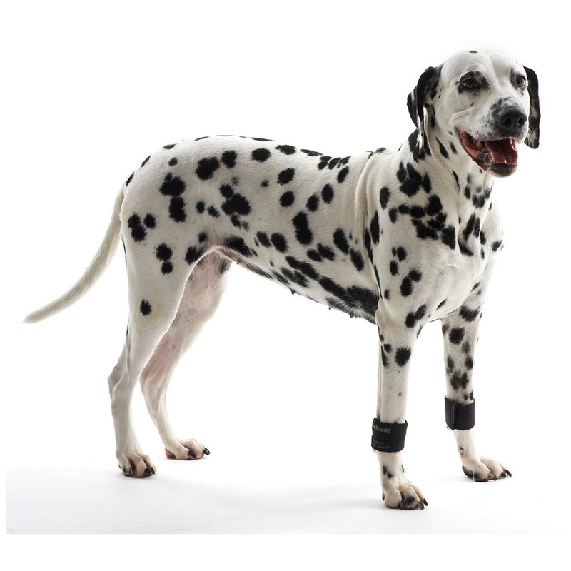 Kruuse Rehab Weighted Cuffs for Dogs – 1 Pair