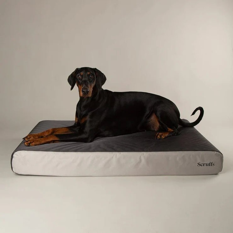 Scruffs Armourdilo Grey Orthopaedic Bed XL 116 x 75 x 15cm