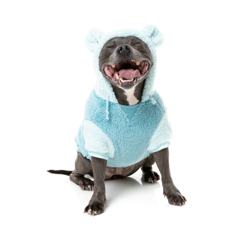 FuzzYard Winnie Dog Hoodie Blue