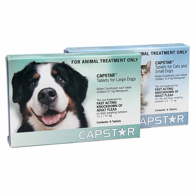Capstar Tablets 6’s – Fast acting knock down of Adult Fleas