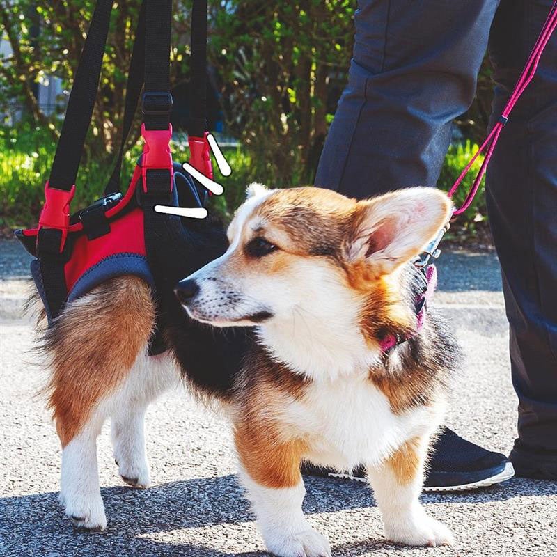 Handy Canis Hind Leg Lifting Harness for Dogs