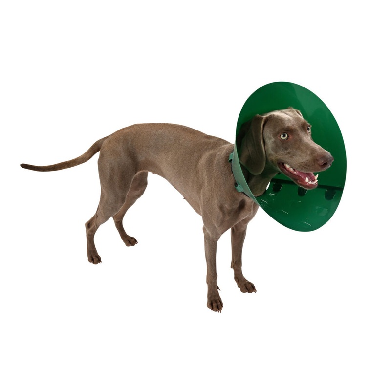 Buster Green Ocean Collar|7.5cm|10cm|12.5cm|15cm|20cm|25cm|30cm