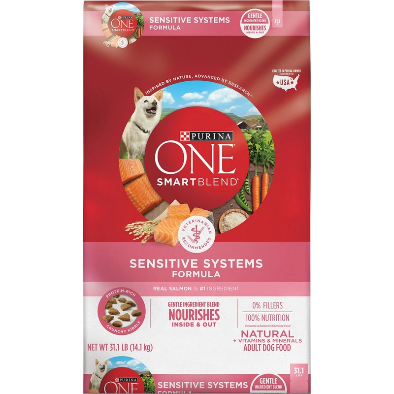Purina ONE SmartBlend Sensitive Stomach Dry Dog Food