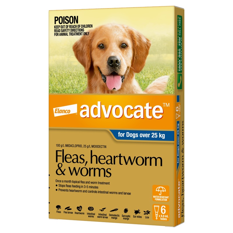 Advocate For Dogs Over 25kg|3 Pack|6 Pack