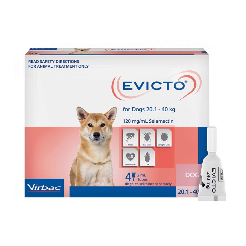 EVICTO Spot-on for Large Dogs 20kg-40kg 4’s
