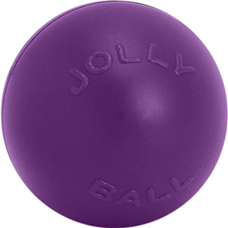 JollyPets Purple Push N Play 10